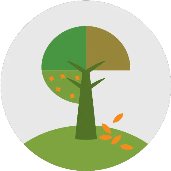 Brookside Landscape Design Tree Png Landscape Design Icon