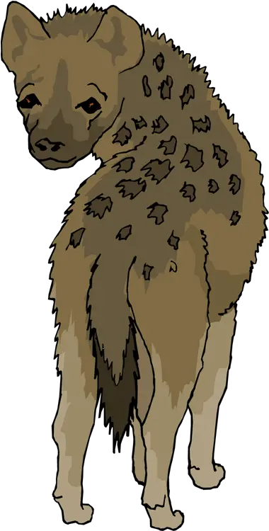 Hyena Png Picture Clip Art Hyena Png