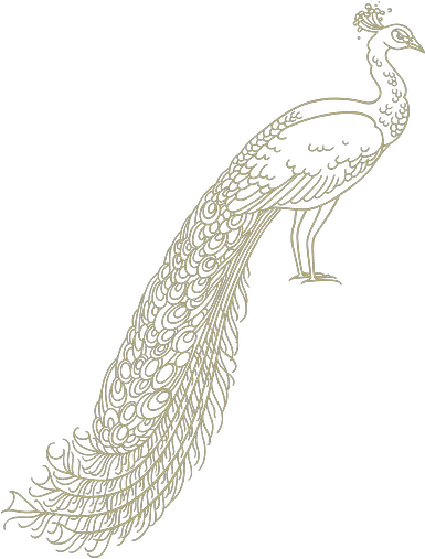 Ars Festum Weddings On Mallorca Decoration Hochzeit Peafowl Png Peacock Png