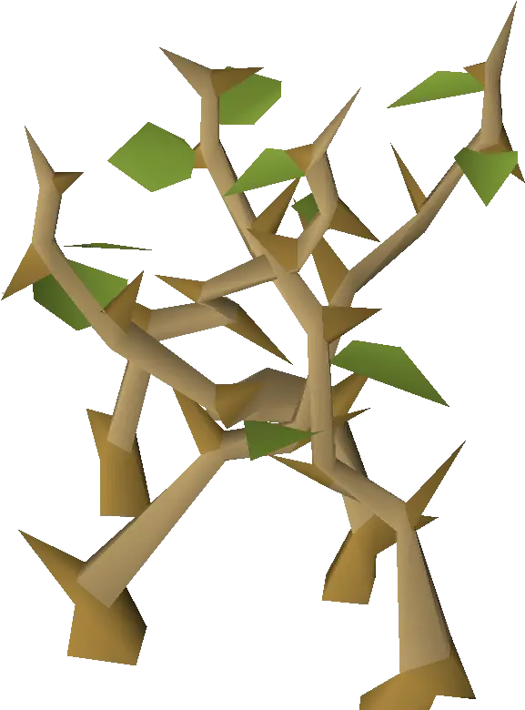 Light Jungle Craft Png Jungle Png