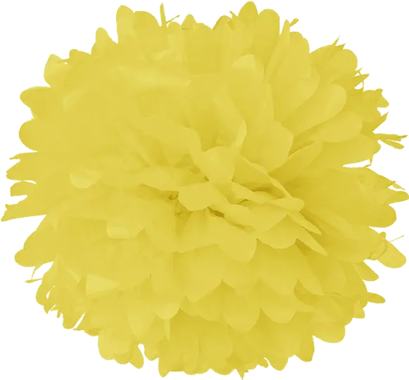 Light Yellow Tissue Pom Poms Tissue Pom Poms Transparent Png Pom Poms Png