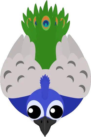 Peacock Paki Animals Mope Io Png Peacock Png