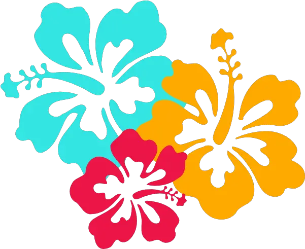 Hibiscus Vector Free Download Clipart Best Clipart Best Hibiscus Vector Free Png Ymca Logo Vector