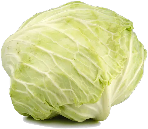 Cabbage Green Vegetable Cabbage Png Cabbage Transparent Background