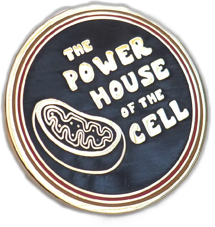 Mitochondria Is The Powerhouse Of Cell Emblem Png Mitochondria Png