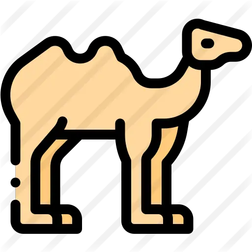 Camel Free Animals Icons Clip Art Png Camel Transparent