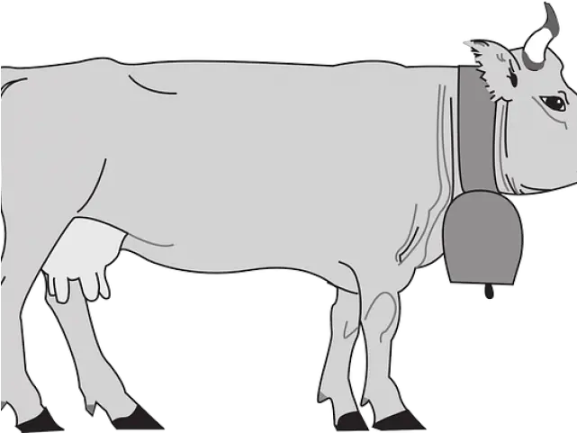 Cattle Png Cattle Clipart Cow Bell Side View Of Cow Cattle Cow Clipart Png