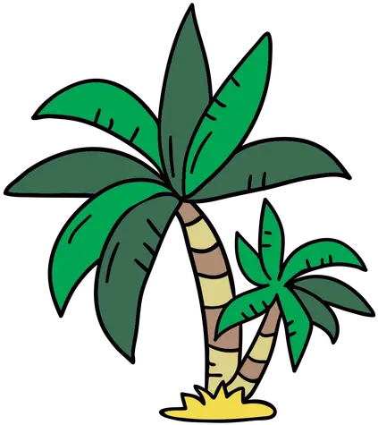 Palm Tree Hand Drawn Transparent Png U0026 Svg Vector File Fresh Palm Tree Leaf Png