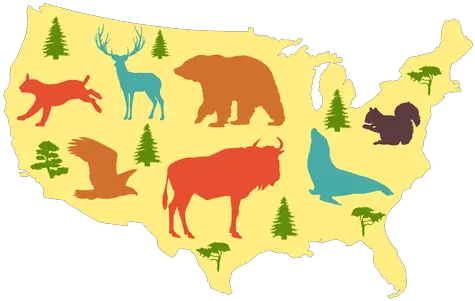 Usa Illustrated Map Transparent Png U0026 Svg Vector File Herd Usa Map Png