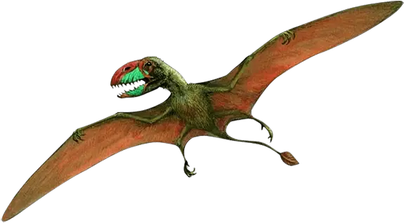 Download Hd Bones Of Dinosaurs Foot Flying Dinosaur Png Flying Dinosaur Png Hd Dinosaur Png