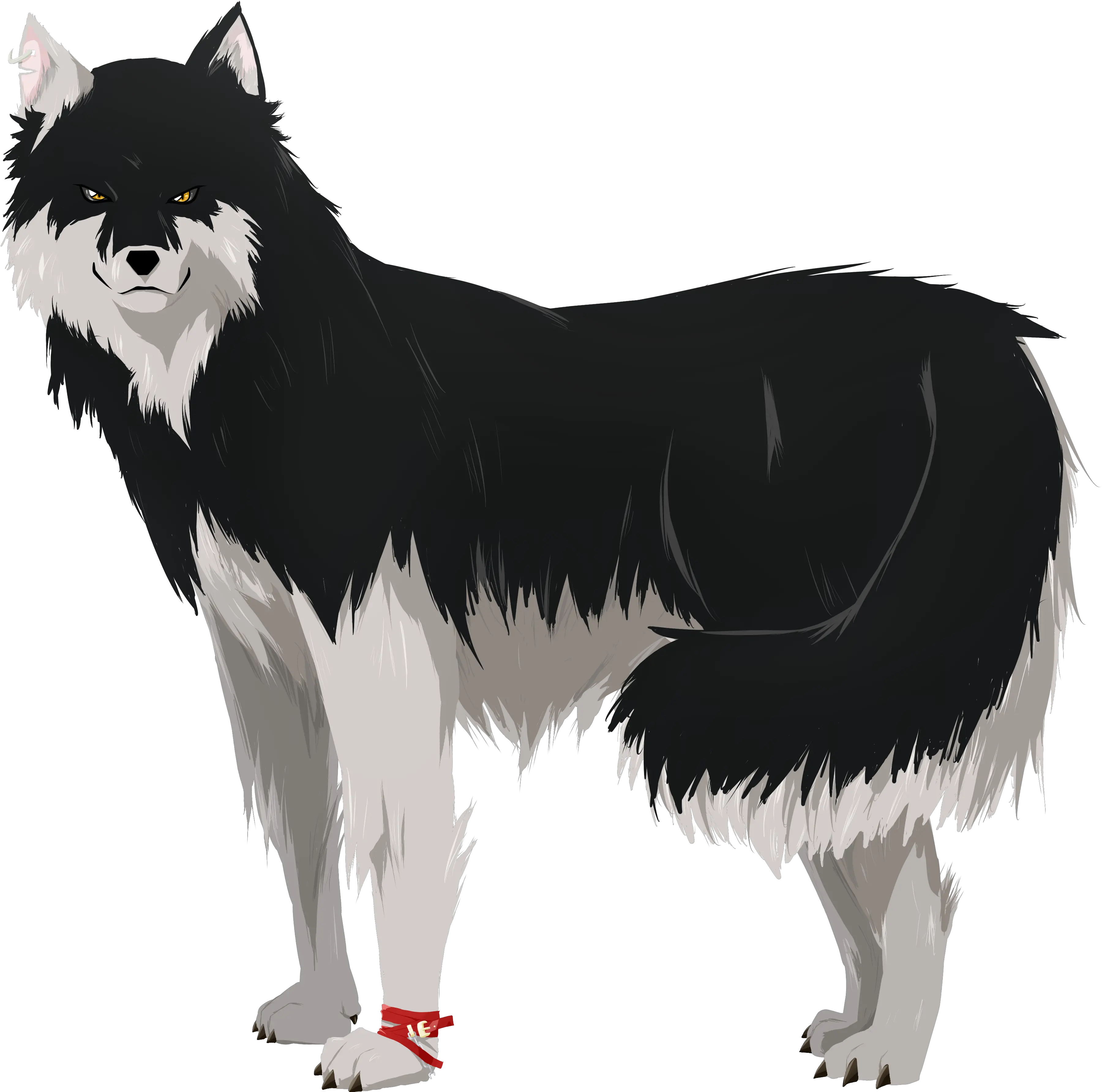 Download Hd Drawing Wolves Husky Wolf Transparent Png Husky Wolf Mix Drawing Husky Transparent Background