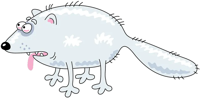 Arctic Fox Clipart Free Download Transparent Png Creazilla Illustration Arctic Fox Png