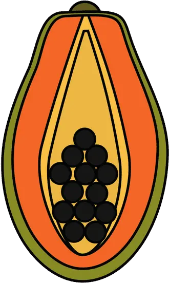 Papaya Fruit Icon Superfood Png Papaya Icon