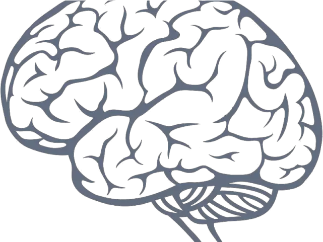 Brains Clipart Transparent Background Brain Illustration Png Brain Transparent Background