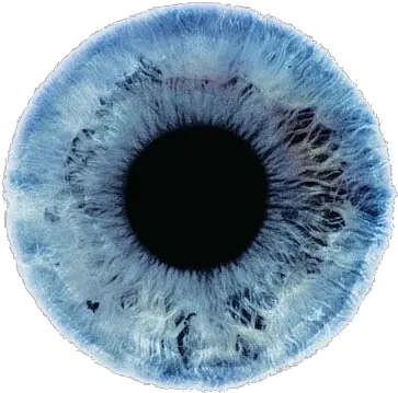 Eyes Cool Eye Blue Eyeball Transparent Eyes Color Png Eyes Transparent