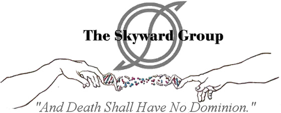 Our Mission The Skyward Group Dot Png Png Skyward