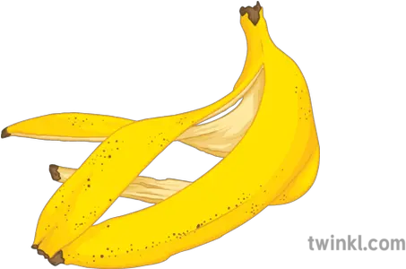 Banana Peel Geography Disposable Waste Food Secondary Banana Png Banana Peel Png