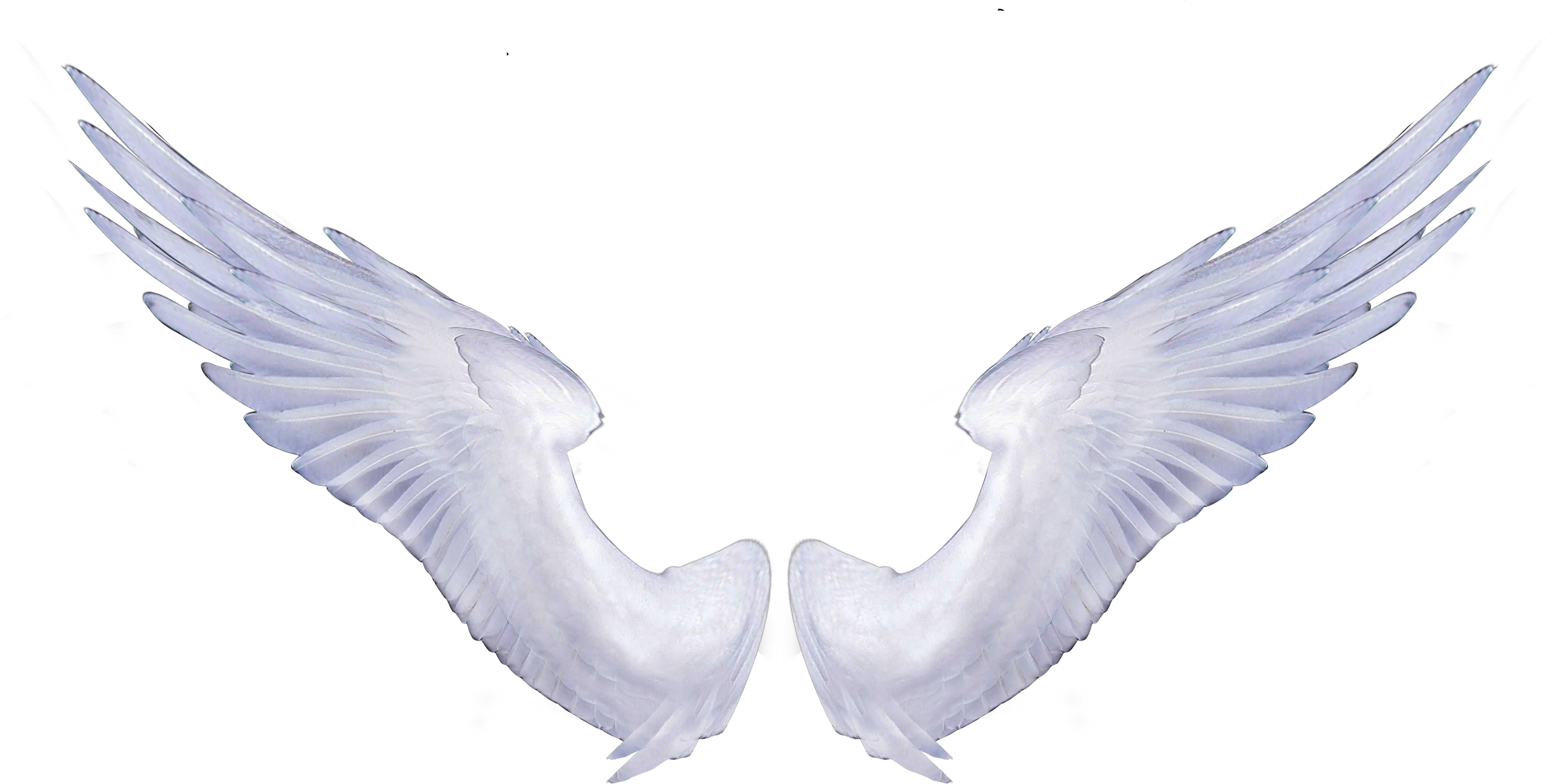 Angel Wings Portable Network Graphics Transparent Transparent Background Angel Wings Png Angle Wings Png