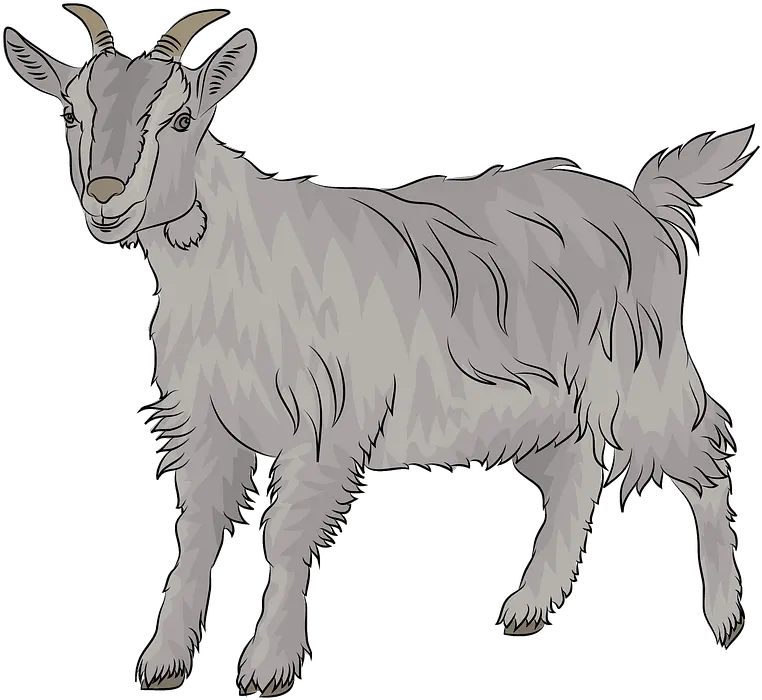 Goat Clipart Free Download Transparent Png Creazilla Goat Creazilla Goat Transparent