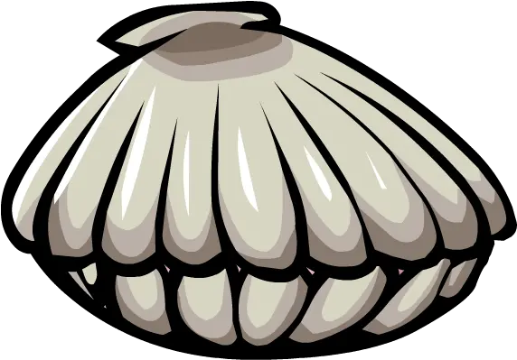 Clam Png Clam Clam Png