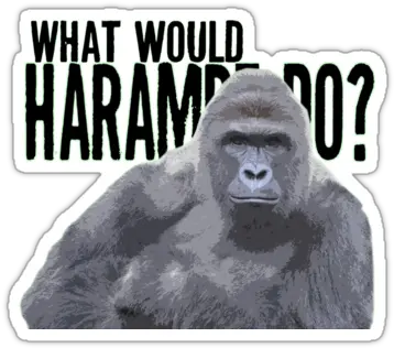 Pin Ugly Png Transparent Harambe