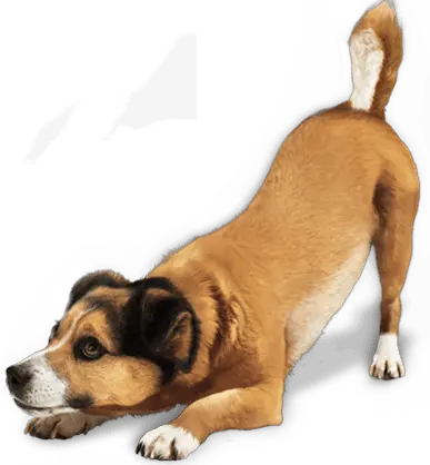 Dog Barking Png