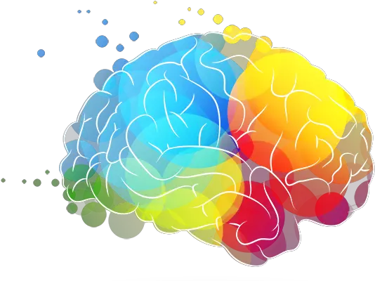 Brain Png Non Judgemental Brain Transparent Background