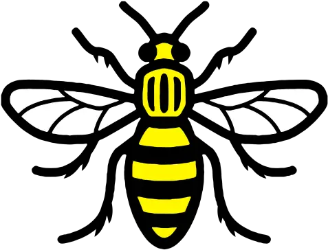 Bee Png Vector 1 Image Manchester Bee Bee Transparent Background