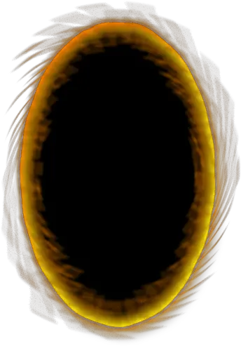 Png Portal Transparent Background Portal 2 Orange Portal Portal Transparent Background