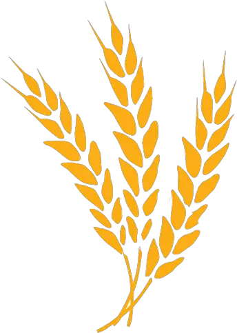 Cropped Jwsiteiconpng U2013 Alamance Orange Prison Ministry Barley Icon Png Wheat Icon Png