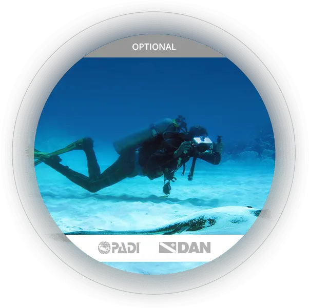 Scuba Diving Inclusions Padi Png Diver Png