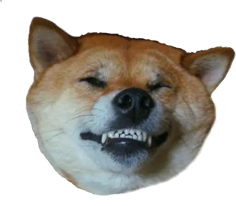 Doge Head Dog Upside Down Smiling Png Doge Png