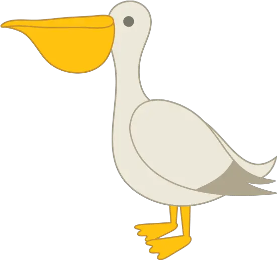 Pelican Clipart Png Pelican Clipart Pelican Png