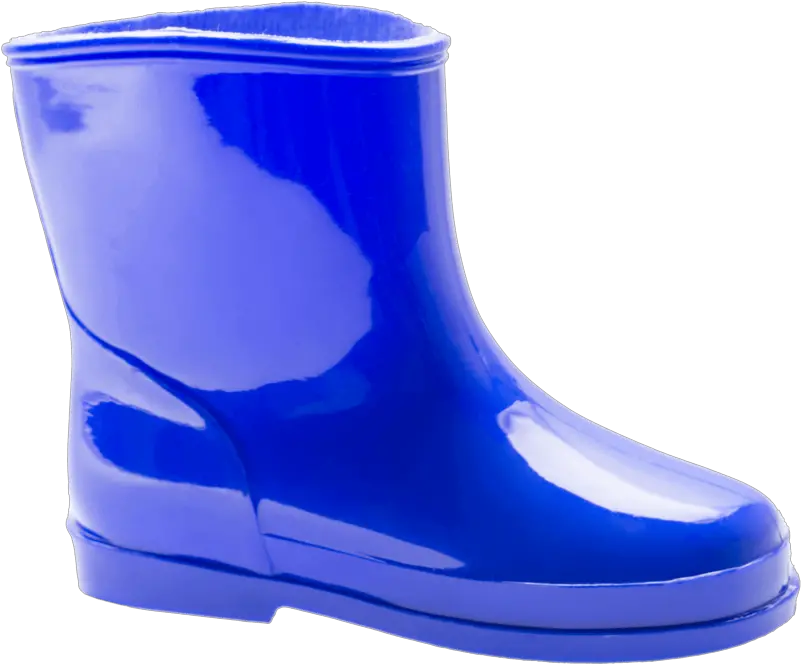 Rain Boot Png Picture Transparent Rain Boots Png Boot Png