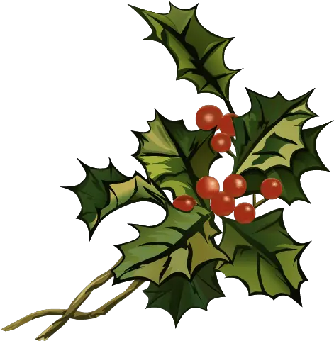 Mistletoe Right Ozark Radio News American Holly Png Mistletoe Png