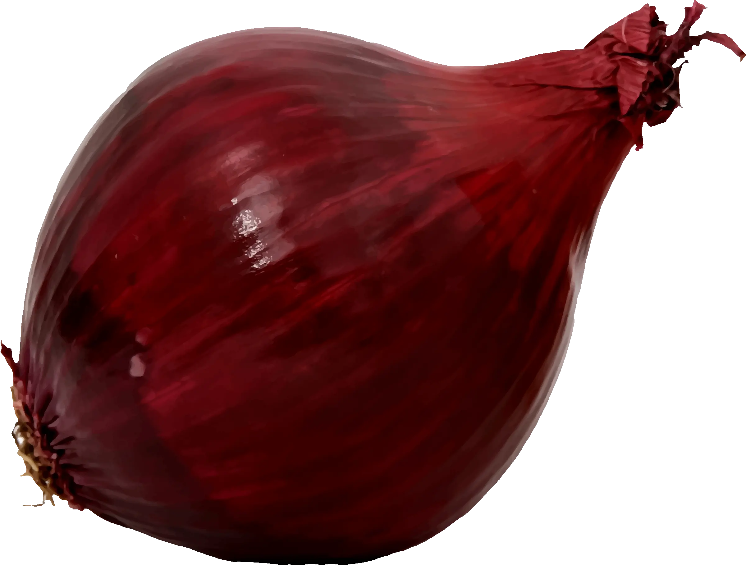 Onion Clipart Red Transparent Free Red Onion Clipart Png Onion Transparent Background