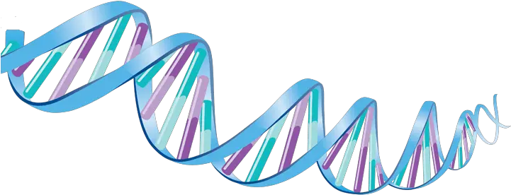 Dna Png Images Free Download Moving Pictures Of Dna Dna Png