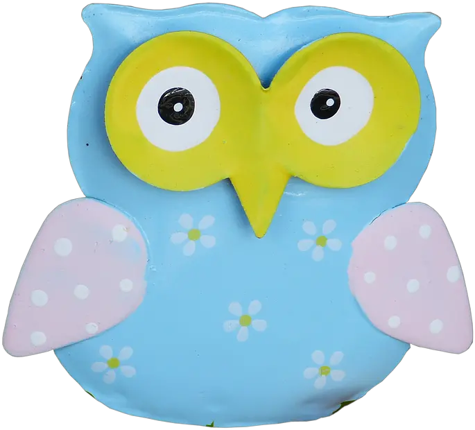 Animalsbirdowlisolatedno Background Free Image From Png Owl Transparent Background