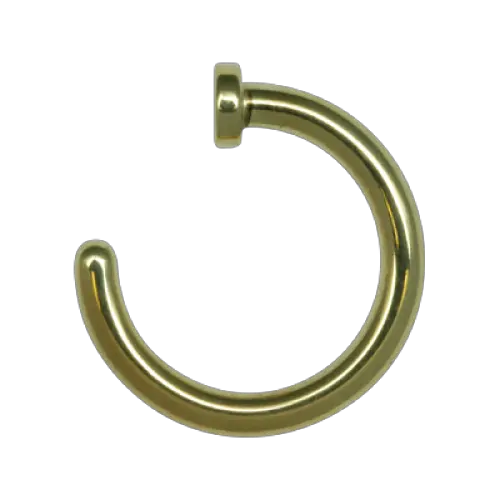 Download Nose Ring Png Nose Full Size Png Image Pngkit Circle Nose Ring Png