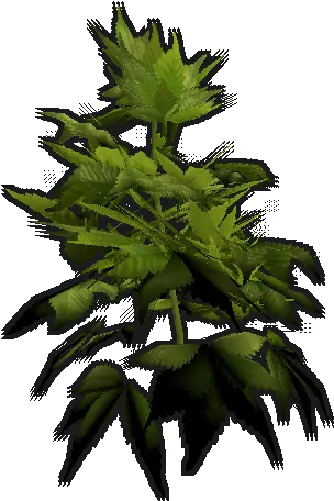 Hemp Clone Rust Steam Hemp Clone Rust Png Rust Png