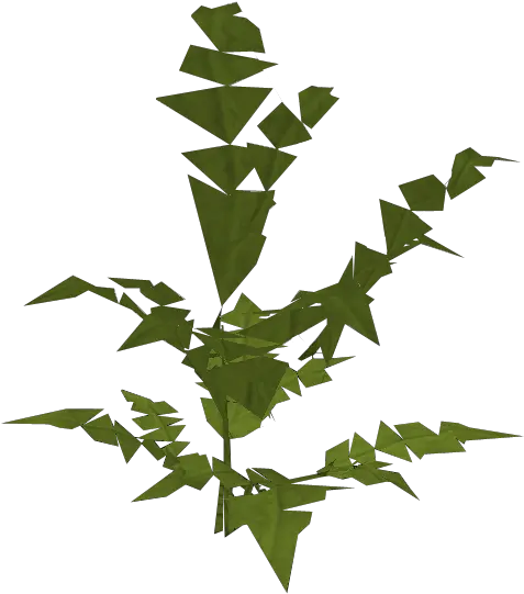 Fern Big Plant The Runescape Wiki American Holly Png Fern Png