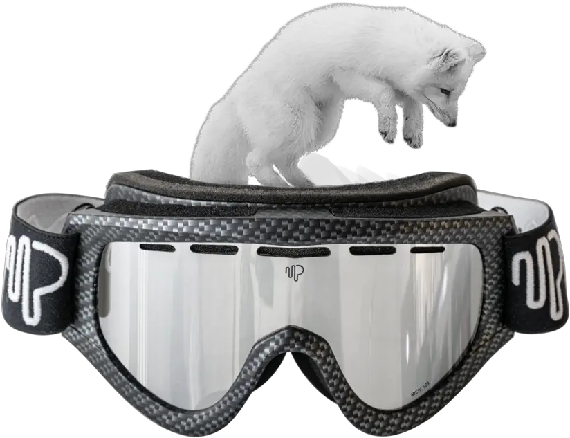 Arctic Fox Jaguar Png Arctic Fox Png