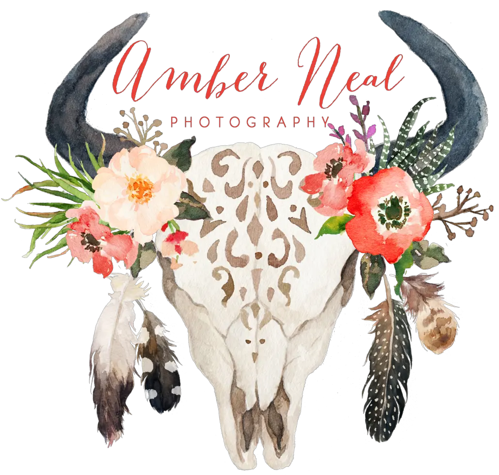 Download Skull Logo Cow Skull With Flowers And Feathers Png Cow Skull Png