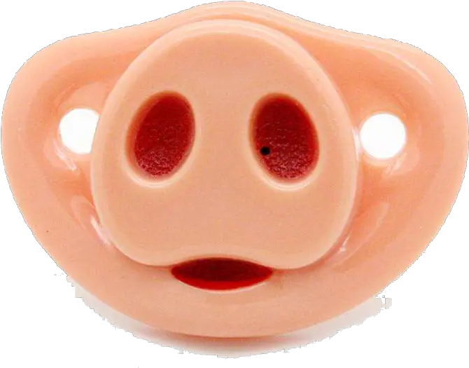 Domestic Pig Nose Pacifier Infant Pacifier 900x900 Png Domestic Pig Pacifier Png