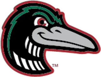 Great Lakes Loons Great Lakes Loons Logo Png Loon Icon