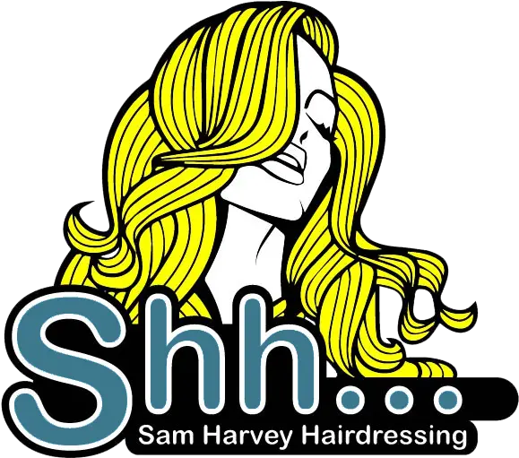 Sam Harvey Hardressing Woman Hair Silhouette Png Shh Png