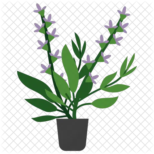 Clary Sage Plant Icon Of Flat Style Flowerpot Png Sage Png