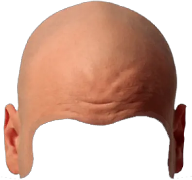 Bald Png And Vectors For Free Download Bald Transparent Bald Head Png