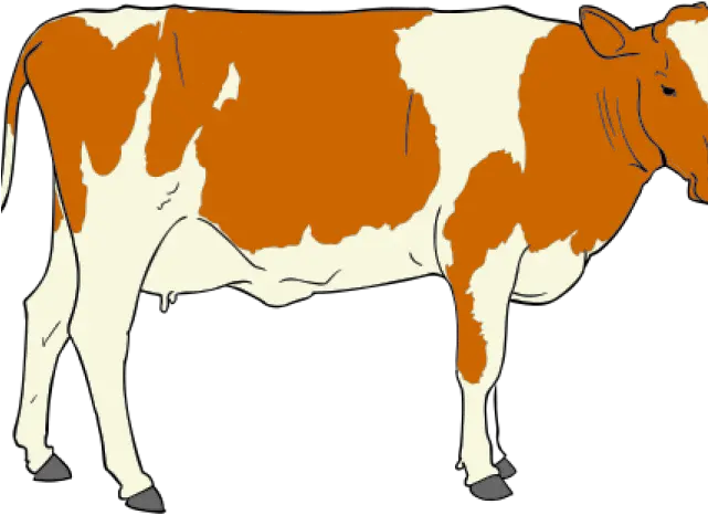 Pair Clipart Cow Png Download Full Size Clipart Cow Clipart Transparent Background Cow Head Png