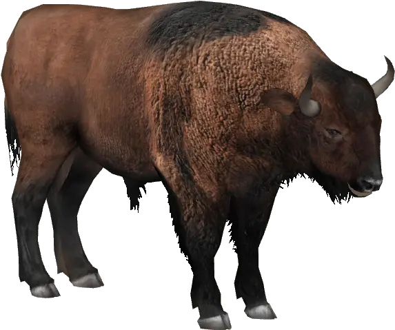 Ice Age Pack Zoo Tycoon 2 Forumsclub Bison Bonasus Zoo Tycoon 2 Png Zoo Tycoon 2 Icon